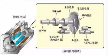 伺服电机编码器的组成结构图 伺服电机运作视频