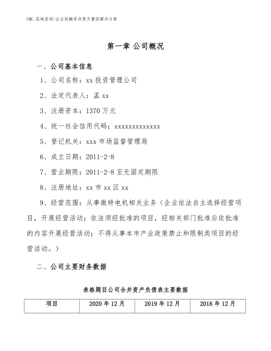 微特电机公司企业投融资决策及重组解决方案(范文)